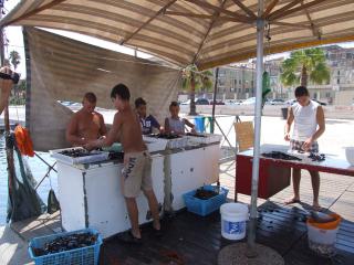 Immagine allegata alla scheda. Per averne una descrizione leggere i dettagli più in basso.